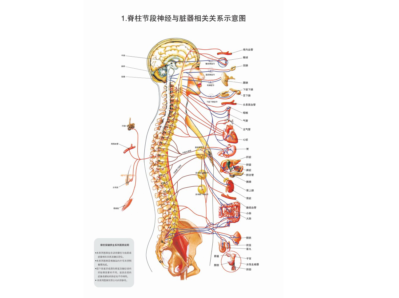 南京强脊诊疗中心