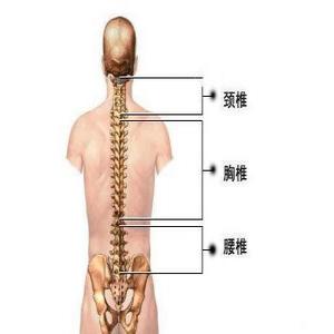 南京强脊诊疗中心